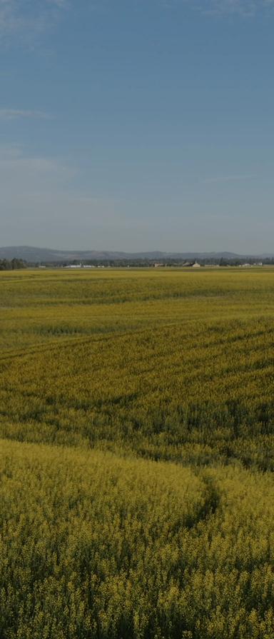 Country side view.
