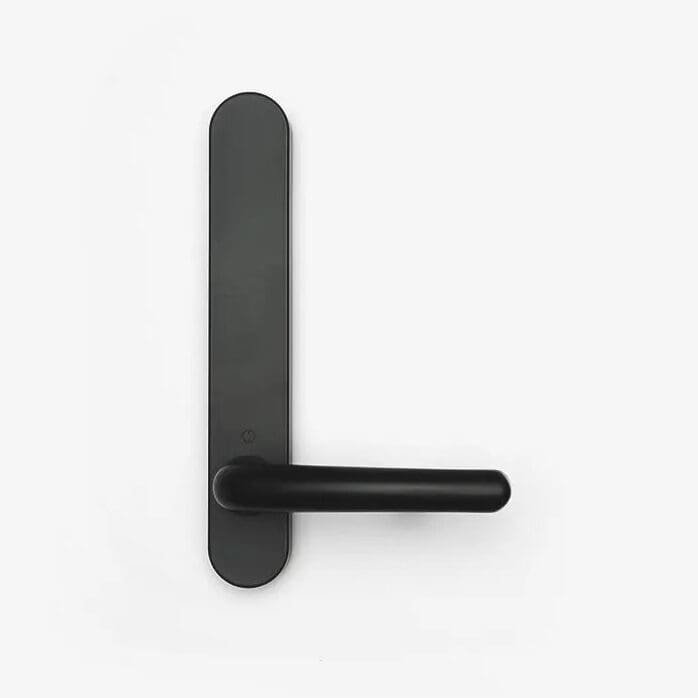 Handle with Exterior Plate – Door